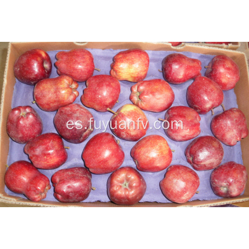 deliciosa manzana roja de Huaniu en venta